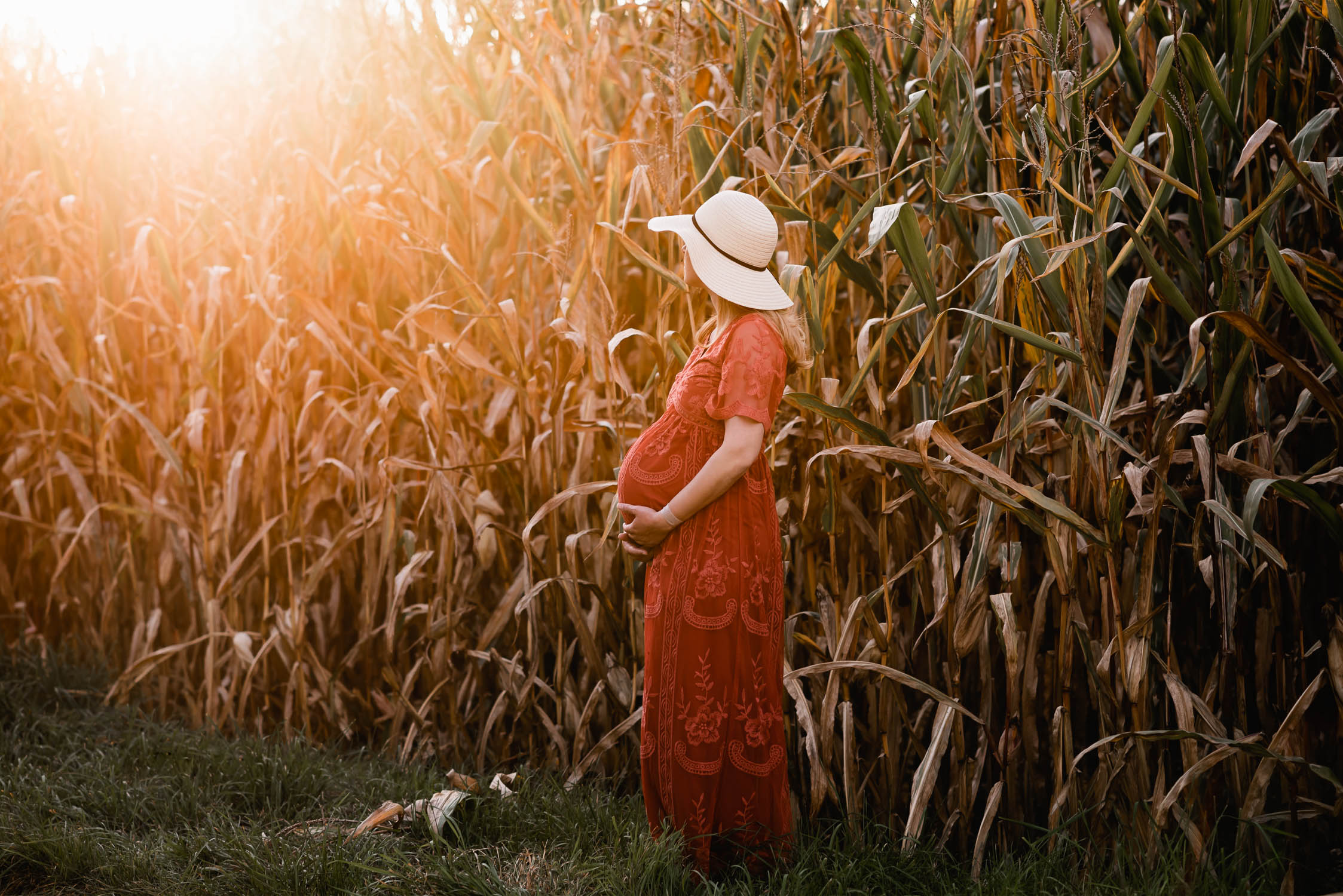 Fotoshooting Schwangerschaft vor einem Maisfeld ausserhalb von Zürich